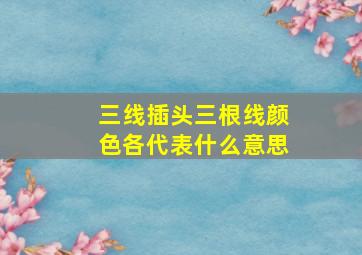 三线插头三根线颜色各代表什么意思