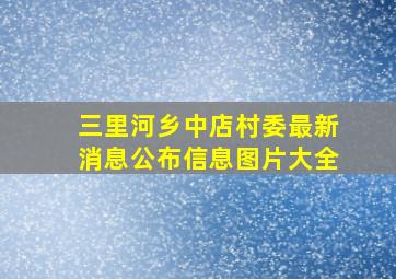 三里河乡中店村委最新消息公布信息图片大全