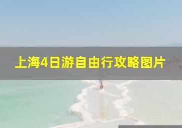 上海4日游自由行攻略图片