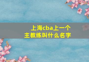 上海cba上一个主教练叫什么名字