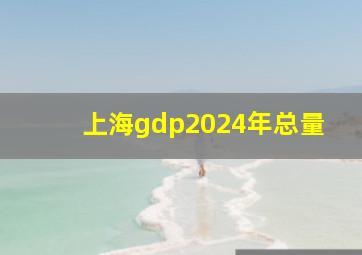 上海gdp2024年总量