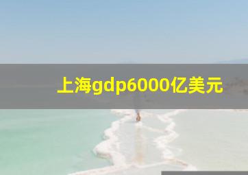 上海gdp6000亿美元