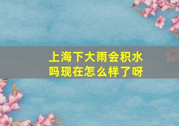 上海下大雨会积水吗现在怎么样了呀