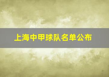 上海中甲球队名单公布