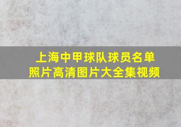 上海中甲球队球员名单照片高清图片大全集视频