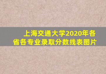 上海交通大学2020年各省各专业录取分数线表图片