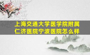 上海交通大学医学院附属仁济医院宁波医院怎么样