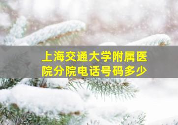 上海交通大学附属医院分院电话号码多少