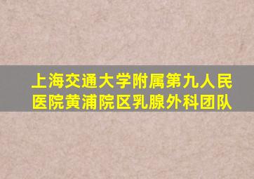 上海交通大学附属第九人民医院黄浦院区乳腺外科团队