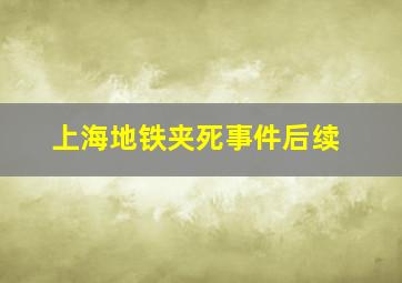 上海地铁夹死事件后续