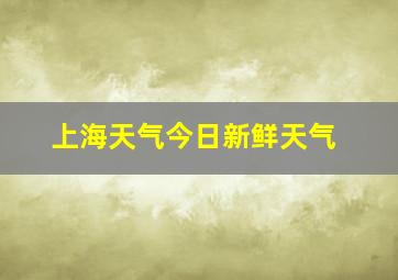 上海天气今日新鲜天气