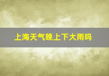 上海天气晚上下大雨吗