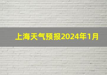 上海天气预报2024年1月