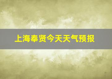 上海奉贤今天天气预报