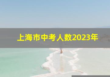 上海市中考人数2023年