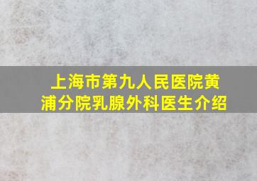 上海市第九人民医院黄浦分院乳腺外科医生介绍