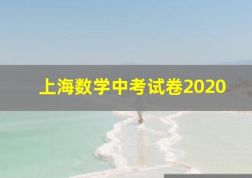 上海数学中考试卷2020