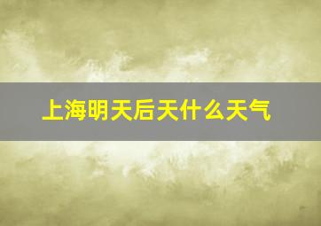 上海明天后天什么天气