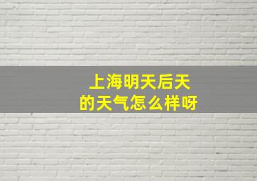 上海明天后天的天气怎么样呀