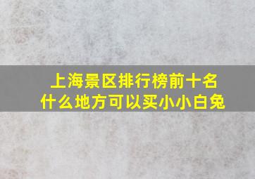 上海景区排行榜前十名什么地方可以买小小白兔