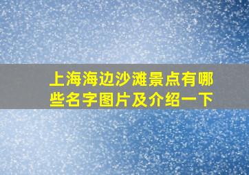 上海海边沙滩景点有哪些名字图片及介绍一下