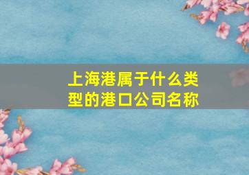 上海港属于什么类型的港口公司名称