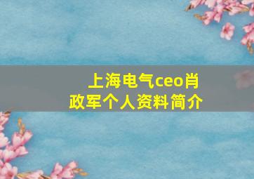 上海电气ceo肖政军个人资料简介