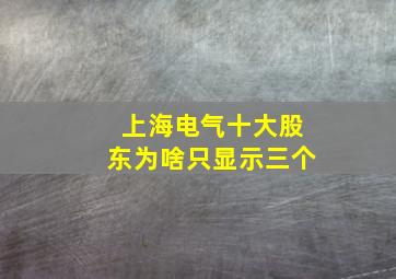 上海电气十大股东为啥只显示三个