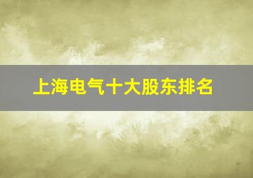 上海电气十大股东排名