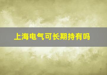 上海电气可长期持有吗