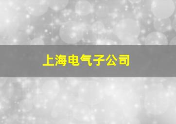 上海电气子公司