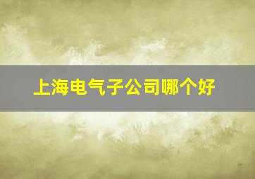 上海电气子公司哪个好