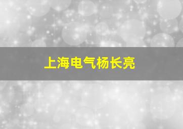 上海电气杨长亮