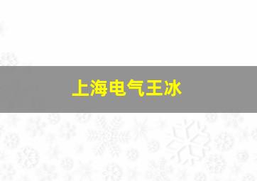 上海电气王冰