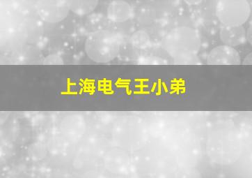 上海电气王小弟