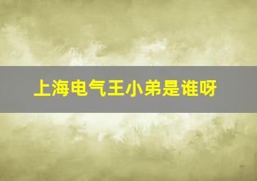 上海电气王小弟是谁呀