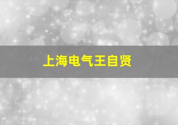 上海电气王自贤