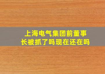 上海电气集团前董事长被抓了吗现在还在吗