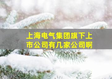 上海电气集团旗下上市公司有几家公司啊