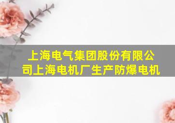 上海电气集团股份有限公司上海电机厂生产防爆电机