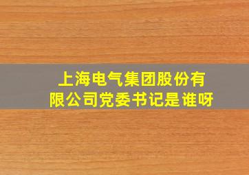 上海电气集团股份有限公司党委书记是谁呀