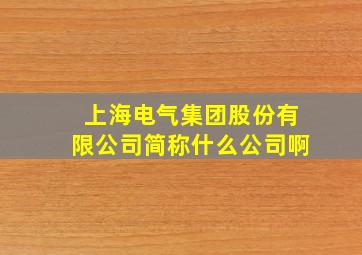 上海电气集团股份有限公司简称什么公司啊