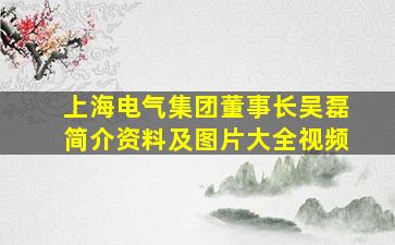 上海电气集团董事长吴磊简介资料及图片大全视频