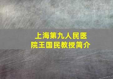 上海第九人民医院王国民教授简介