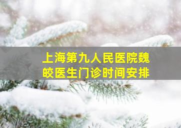 上海第九人民医院魏皎医生门诊时间安排