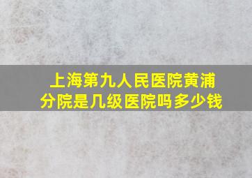 上海第九人民医院黄浦分院是几级医院吗多少钱