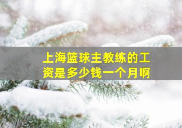 上海篮球主教练的工资是多少钱一个月啊