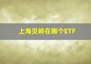 上海贝岭在哪个ETF