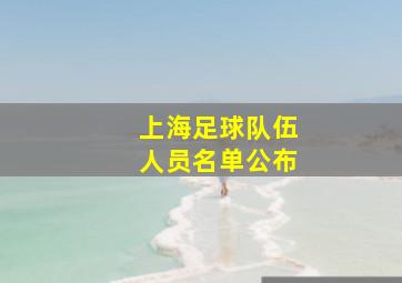 上海足球队伍人员名单公布