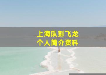 上海队彭飞龙个人简介资料